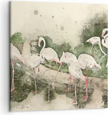 Produktbild von Bild auf Leinwand - Leinwandbild - Flamingo Vogel Wasser - 50x50cm - Wand Bild - Wanddeko - Leinwanddruck - Bilder - Kunstdruck - Wanddekoration - Leinwand bilder - Wandkunst - AC50x50-3462