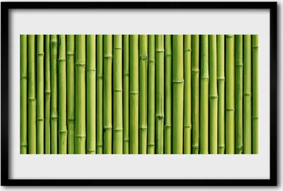 Produktbild von Bild 60x40 MDF-Rahmen Wandkunst Bambuspflanze Natur