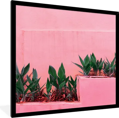 Produktbild von MuchoWow® Gerahmtes Poster Pflanzen - Sommer - Farbe 40x40 cm - Poster mit Schwarzem Bilderrahmen Wandposter Rahmen Foto Bilder - Mit Rahmen - Wanddekoration Schlafzimmer