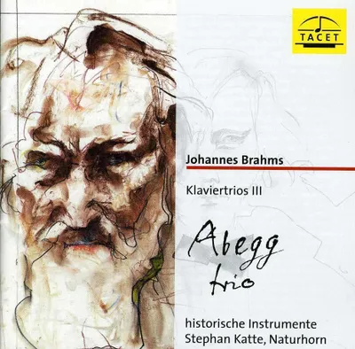 Obrázok produktu pre Johannes Brahms (1833-1897): Klaviertrios Vol.3 - - (CD / K)