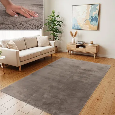 A living room scene featuring a sofa, rug, and entertainment center.