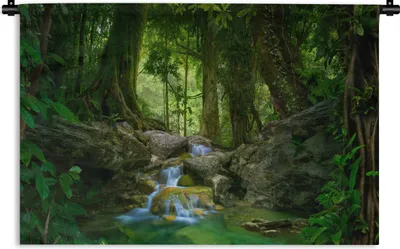 Produktbild von MuchoWow® Wandteppich Wandbehang Dschungel - Steine - Wasser - Natur - Pflanzen 120x80 cm Tapisserie Dekoration Wandtuch - Wanddekorationen - Wandtücher