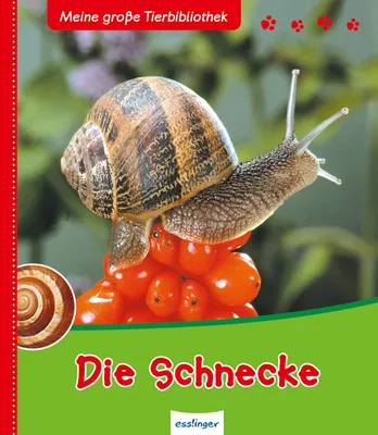 Produktbild von Starosta, P: Schnecke