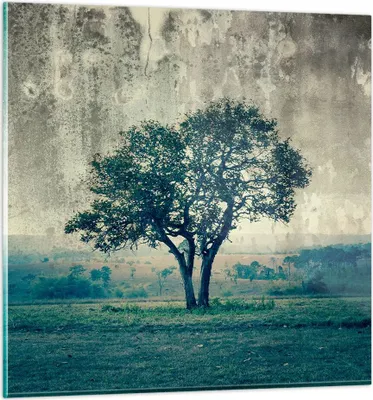 Produktbild von Bilder auf glas - Baum Natur Feld - 40x40cm - Glasbilder - Wandbilder - Kunstdruck - zum Aufhängen bereit - Wanddekoration aus Glas - Glas Bilder - Wandbild auf Glas - Einteilig - GAC40x40-3627