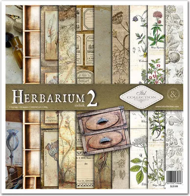 Image de ITD Set 11 pcs 31x32cm recto papier scrapbooking 200g, Herbarium 2