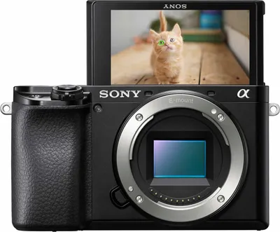 A Sony Alpha camera with its screen tilted up, showing a picture of a kitten.