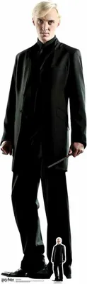 Produktbild von Harry Potter Pappaufsteller Draco Malfoy Pappaufsteller