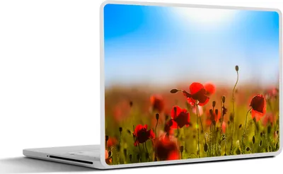 Produktbild von MuchoWow® Laptop Aufkleber Sticker Cover Mohnblumen unter einem klaren blauen Himmel. 30x21 cm - Sticker für Laptop - Selbstklebend