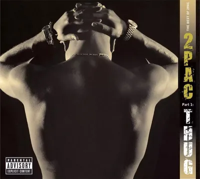 Image de 2Pac - Le meilleur de 2Pac : Pt. 1 : Thug (2 LP)