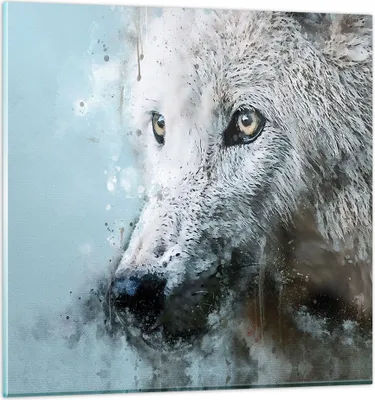 Produktbild von Bilder auf glas - Einteilig - Weiß Der Wolf Bild - 70x70cm - Glasbilder - Wandbilder - Bilder - zum Aufhängen bereit - Wanddekoration aus Glas - Glas Bilder - Wandbild auf Glas - GAC70x70-4623