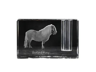 Produktbild von Art-Dog Stifthalter Shetlandpony
