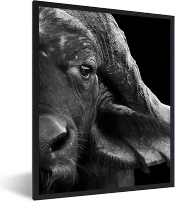 Produktbild von MuchoWow® Gerahmtes Poster Büffel - Tiere - Schwarz - Weiß 30x40 cm - Poster mit Schwarzem Bilderrahmen Wandposter Rahmen Foto Bilder - Wanddeko - Kunstdrucke