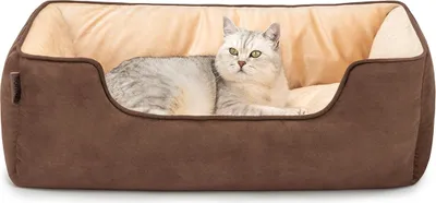Immagine prodotto di divano reversibile per gatti lionto, letto per gatti 2 in 1, morbidamente imbottito e facile da pulire, design moderno, 80x60 cm, marrone/beige