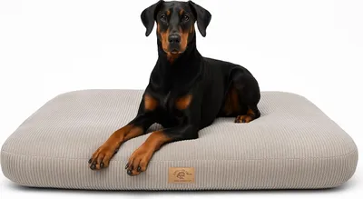 Image de Lit orthopédique pour chien Coussin pour chien Canapé pour chien Lit pour chat 130x75CM