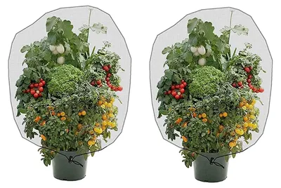 Image de 2 pièces de filet anti-insectes et anti-oiseaux, avec cordelette de fixation, pour jardin