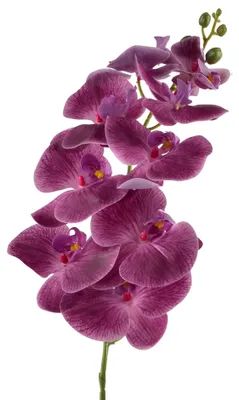 Productafbeelding van Kunststof orchideeën tak, Viridis, 90 cm, wit, 1 stuk