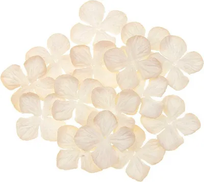Produktbild von HORTENSIONEN Papierblumen, Maulbeere Elfenbein 50mm - 100 Stück
