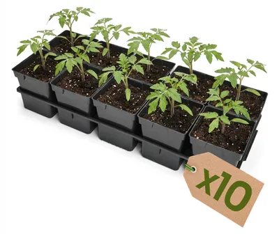 Image de Garronda, plateau de culture de 10 alveoles pour pots de culture en serre (plateau de culture avec 10 pots de 1 l) GD-KW-T