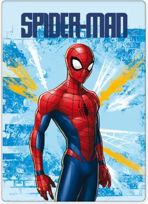 Obrázek produktu pro Spiderman Lehká fleecová deka 100x140cm