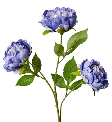 Produktbild von Clayre & Eef Kunstblume 80 cm Violett Kunststoff