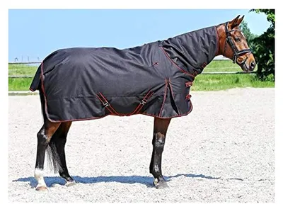 Produktbild von Outdoordecke Narva 1200 Denier | Farbe: Black/red | Größe: 115 cm | Schaftform: 250 g