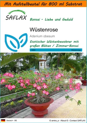 Produktbild von SAFLAX - Garden in the Bag - Bonsai - Wüstenrose - 8 Samen - Mit Anzuchtsubstrat im praktischen, selbst aufstellenden Beutel - Adenium obesum