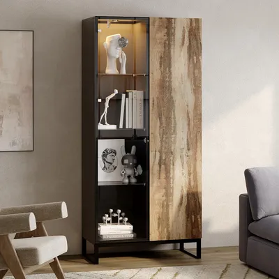 A tall display cabinet with a glass door and a wooden door, showcasing decorative items and books, in a living room setting.