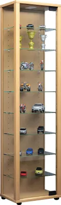 Zdjęcie produktu dla Szklana obudowa stojąca | Etui na wyświetlacz Szkło z bezpiecznym szkłem ESG | Wymiary ok. H. 115 x W. 33 x D. 18 cm | Stand display cabinet glass | Nowoczesne i oszczędne miejsce | Szklana szafka ekspozycyjna – Edana Maxi