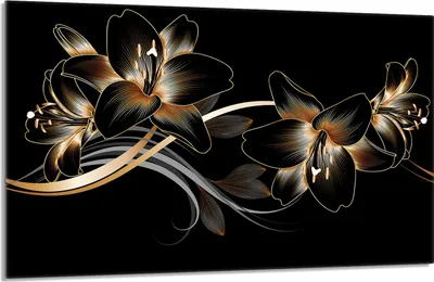 Immagine prodotto di Piastra di copertura del piano cottura 80x52cm 1 pezzo in Vetroceramica, nero orchidea
