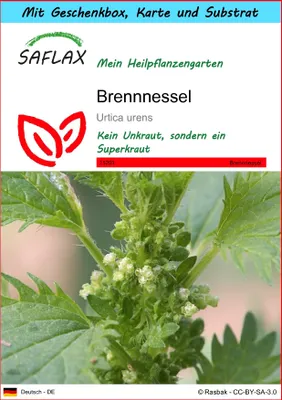 Produktbild von SAFLAX Geschenk Set - Brennnessel - Urtica urens - 150 Samen - Mit Geschenkbox, Versandaufkleber, Geschenkkarte und Anzuchtsubstrat
