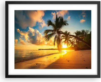 Produktbild von Gerahmtes Poster - Schwarzer Rahmen - Meer Strand Palme - 50x40 cm - Wand Bild - Wanddeko - Wandbilder - Kunstposter - Wandposter - Bilderrahmen - Bilder - Kunstdruck - Wandbild - P2BAA50x40-3922
