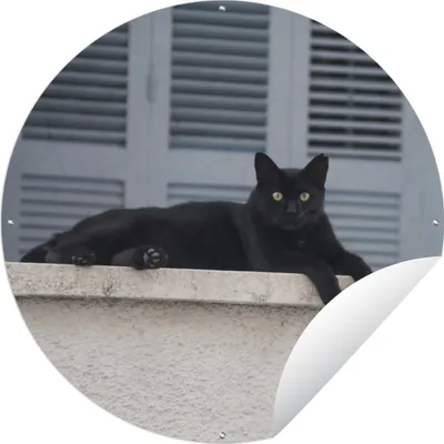 Produktbild von MuchoWow® Gartenposter Outdoor-Poster Rund Katze - Schwarz - Fensterläden - Mädchen - Kinder - Jungen - Kind Ø 150 cm Gartendeko Rundes Poster draußen