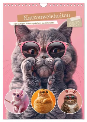 Produktbild von Katzenweisheiten (Wandkalender 2027 DIN A4 hoch), CALVENDO Monatskalender