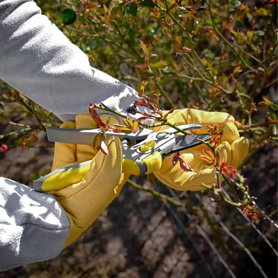 Image de Gants de jardinage longs - Gants résistants aux épines - Taille M - Gants pour rosiers avec protection contre les épines
