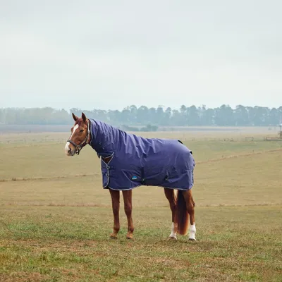 Produktbild von Weatherbeeta Weidedecke in Größe 125 - Comfitec Tyro Turnout Combo Neck 50g