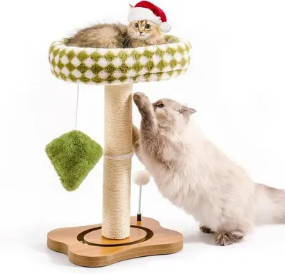 Produktbild von Krabkissen für Katzen - grün - für Katzen im Haus und Garten