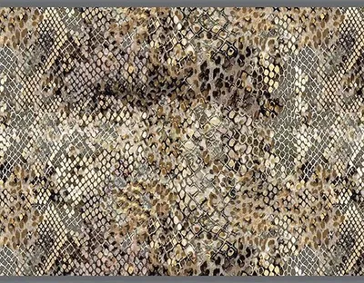 Produktbild von Schmutzfangläufer Universal snake 67x150 cm