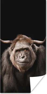 Produktbild von MuchoWow® Poster Affe - Schottischer Highlander - Schwarz 60x120 cm - Wandschmuck