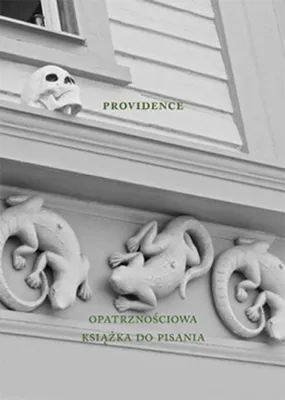 Productafbeelding van Providence Agnieszka Taborska i Marcin Giżycki