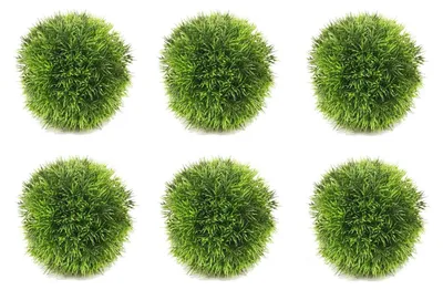 Produktbild von 6er Set künstliche Deko Graskugeln Grasbälle grün D. 15cm Emerald Kunstblumen