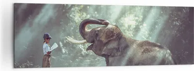 Produktbild von Bild auf Leinwand - Leinwandbild - Elefant Dschungel Stoßzahn - 160x50cm - Wand Bild - Wanddeko - Leinwanddruck - Bilder - Kunstdruck - Wanddekoration - Leinwand bilder - Wandkunst - AB160x50-3486
