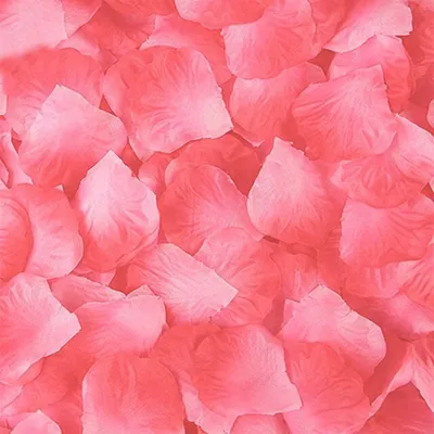 Produktbild von 100 Rosenblätter, Rosa