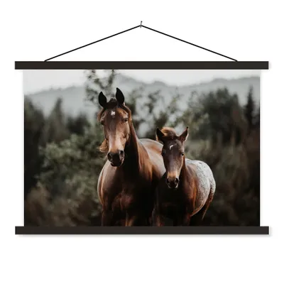 Produktbild von MuchoWow® Textilposter Pferd - Fohlen - Natur 90x60 cm mit schwarzem Rahmen - Aufhängungssatz