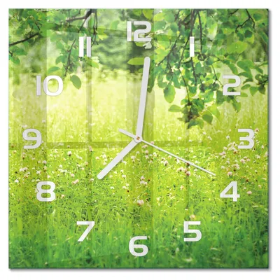 Produktbild von Glas Wanduhr 30x30 cm - Wanduhr - lautlose Wanduhr - ohne Ticken - geräuschloses Uhrwerk - schleichende Zeiger - moderne Uhr - Design Uhr - Wohnzimmer Uhr - Grüne Wiese