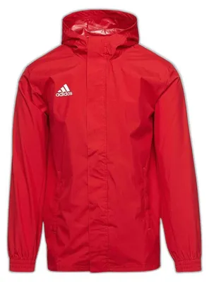 Image de Sweat à capuche Adidas IK4009 pour Homme