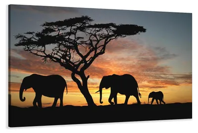 Obrázok produktu pre 5066 Africké slony obraz na plátne 120x80 cm
