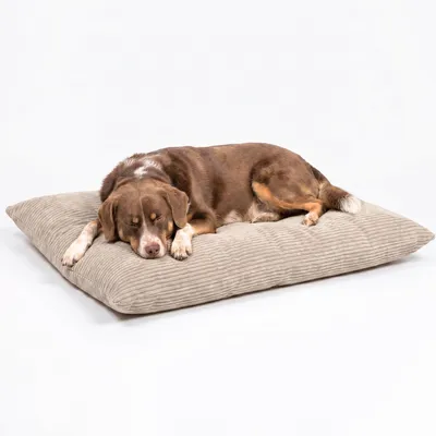 Produktbild von 4L Textil MOLLY Hundekissen aus Cord, wendbares Hundebett, abnehmbarer waschbarer Bezug, für mittelgroße Hunde, 100x80 cm, Beige