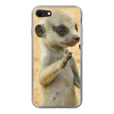 Produktbild von MuchoWow® Handyhülle Schutzhülle Hülle für iPhone 7 Erdmännchen - Braun - Tier Silikon Softcase Handy Hülle - Kartenhalter