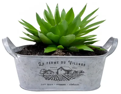 Produktbild von Sunnydays Teil/Pflanztopf - Zink - silber - 31 x D12 x 13 cm