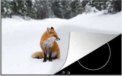 Produktbild von KitchenYeah© Herdabdeckplatte Fuchs - Schnee - Winter , 81x52cm, Küche Deko, Glaskeramikkochfeld Herdabdeckung, Abdeckplatte fùr Kochfeld